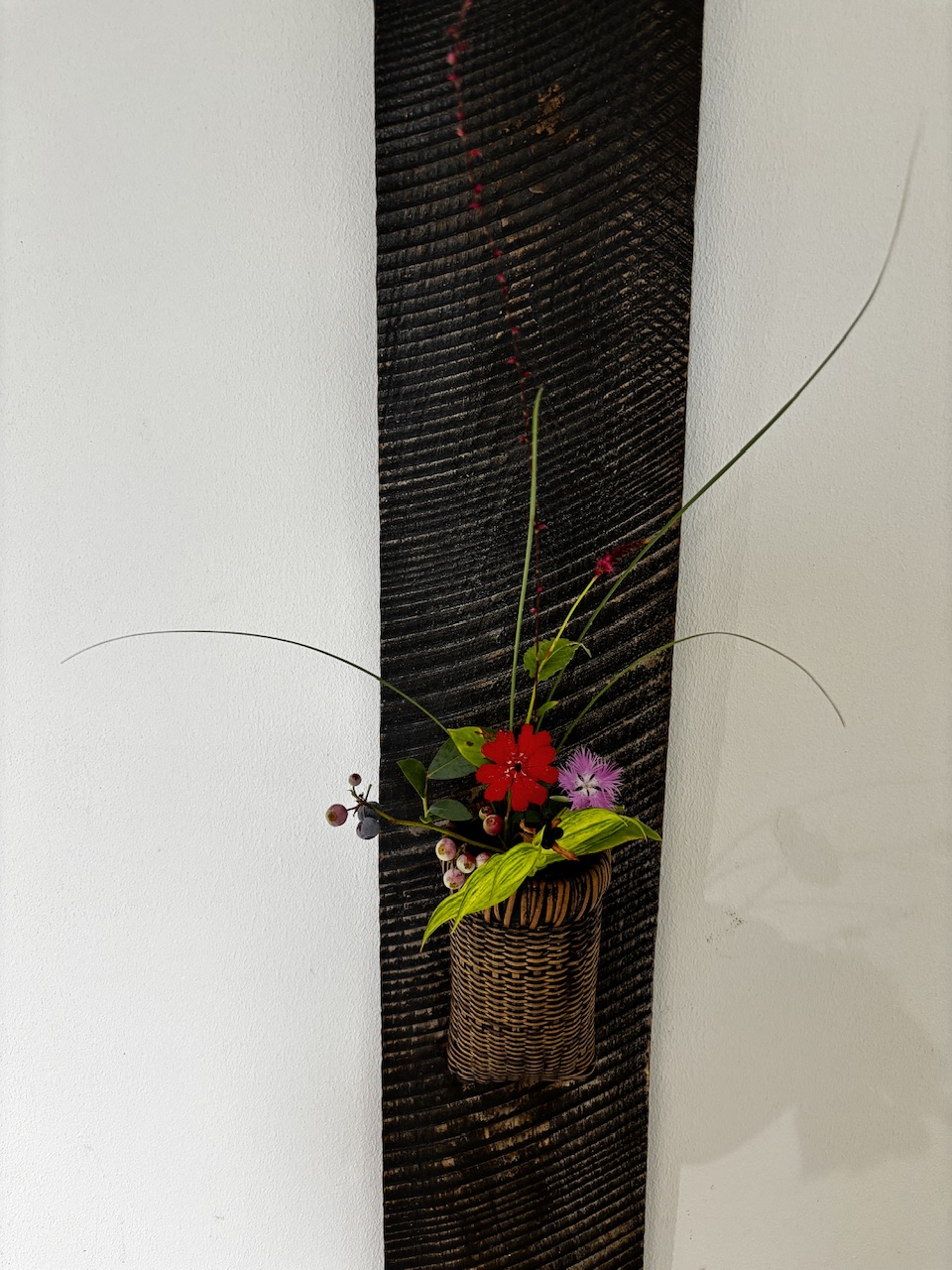 本日のクリニックの花々