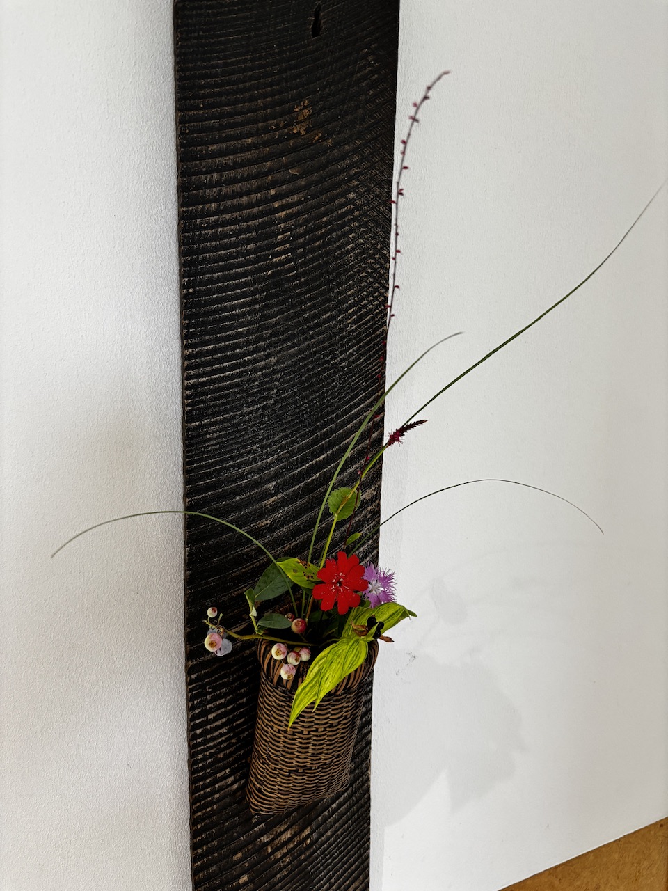 本日のクリニックの花々