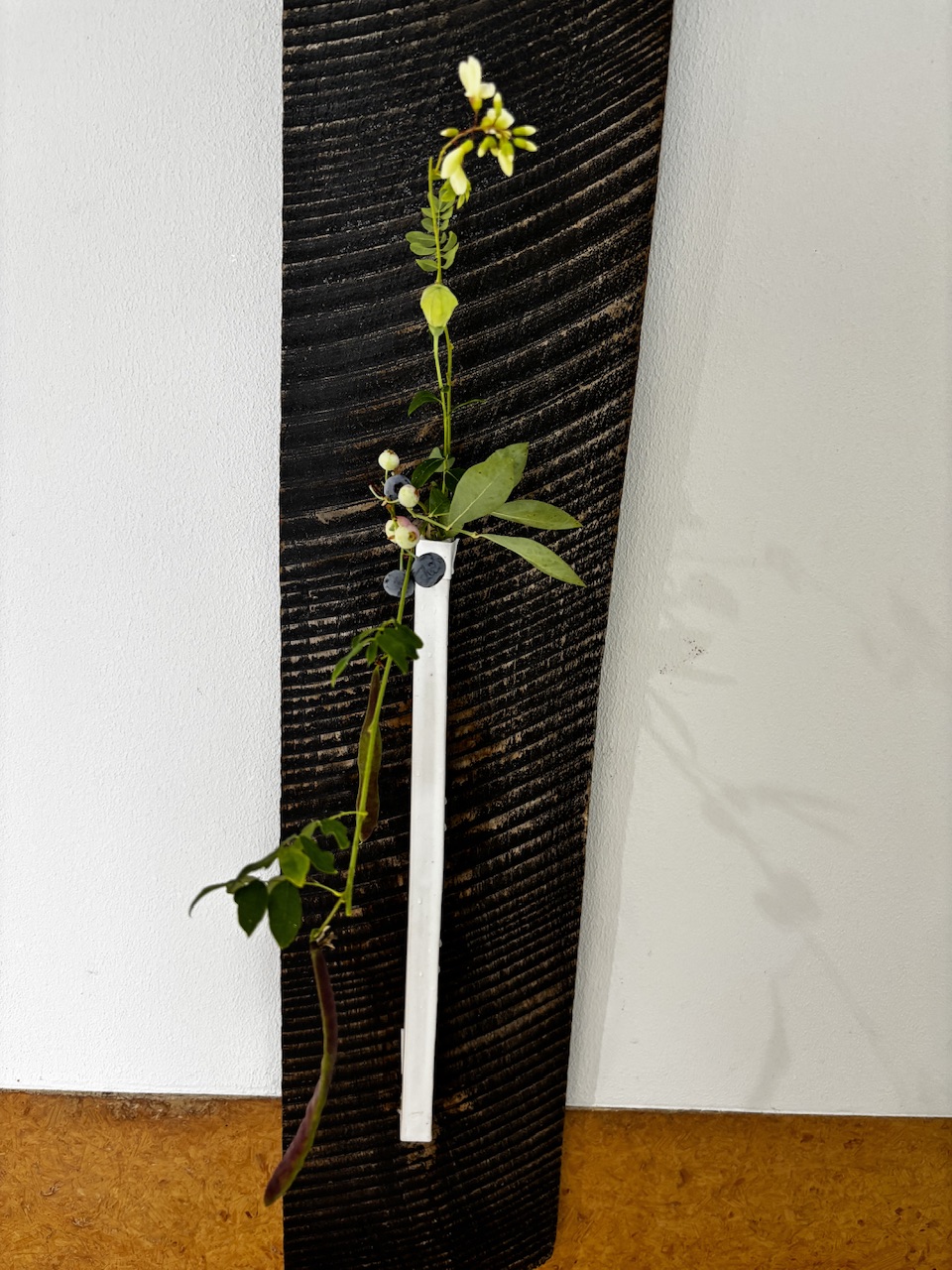 本日のクリニックの花々