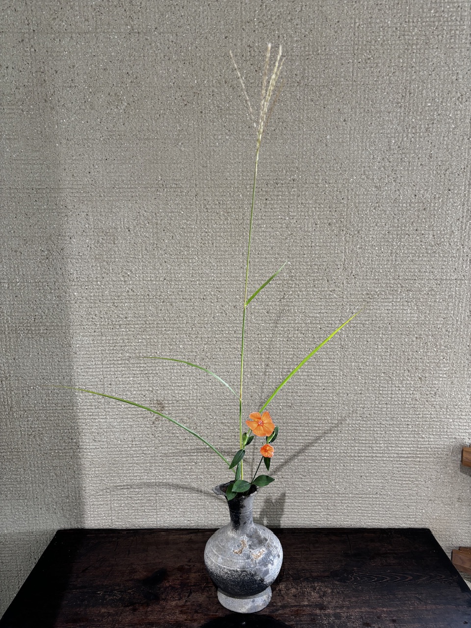 本日のクリニックの花々