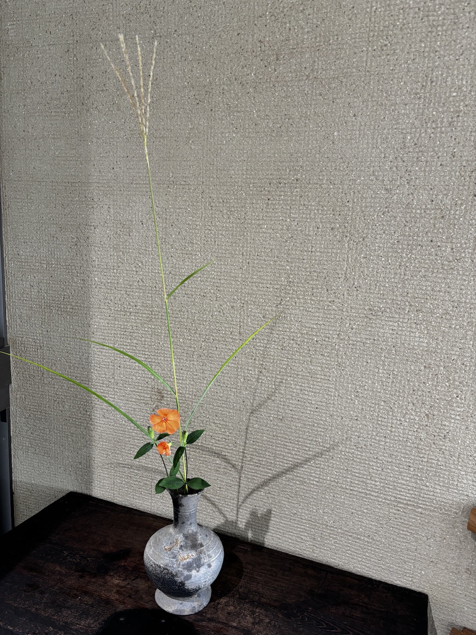本日のクリニックの花々