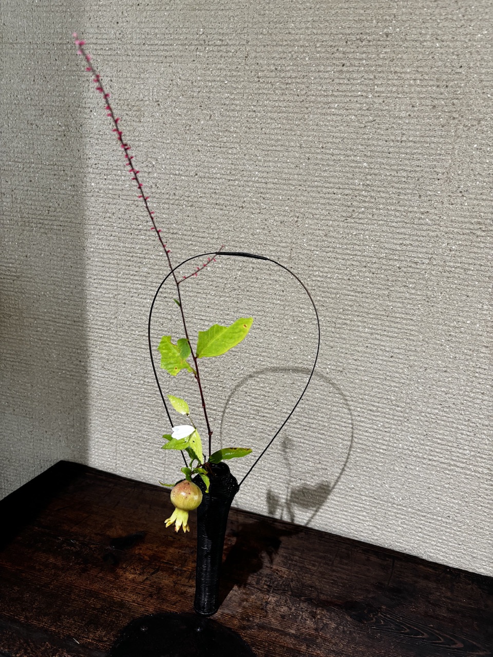 本日のクリニックの花々