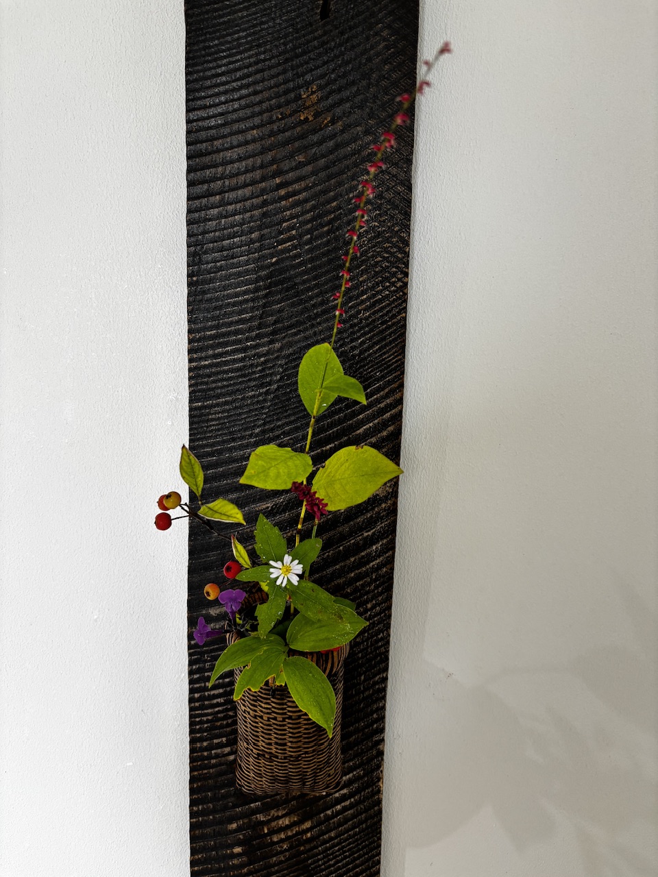 本日のクリニックの花々