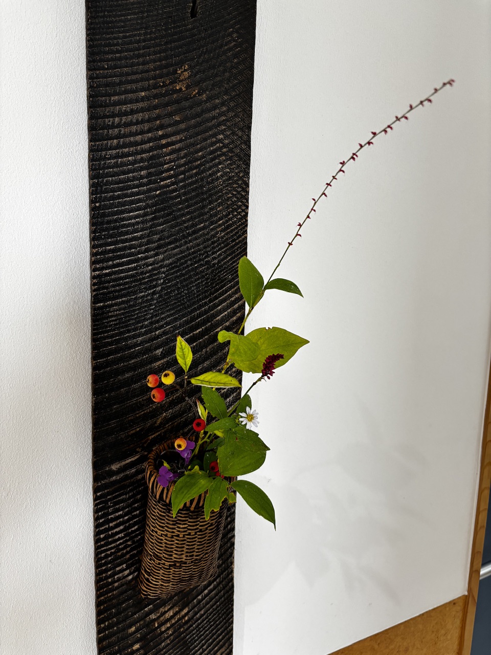 本日のクリニックの花々