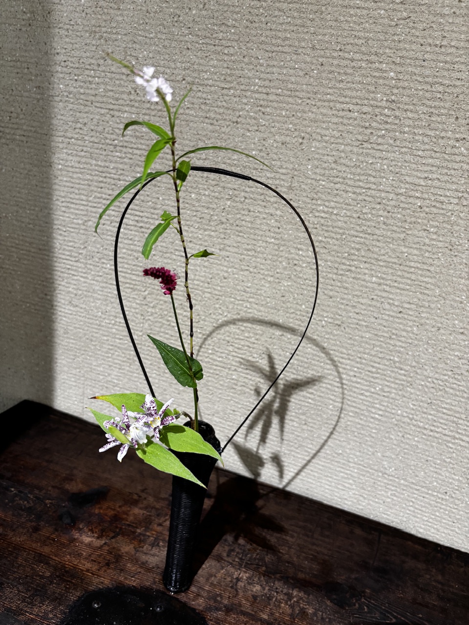 本日のクリニックの花々