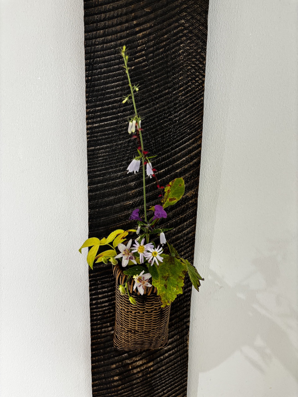 本日のクリニックの花々