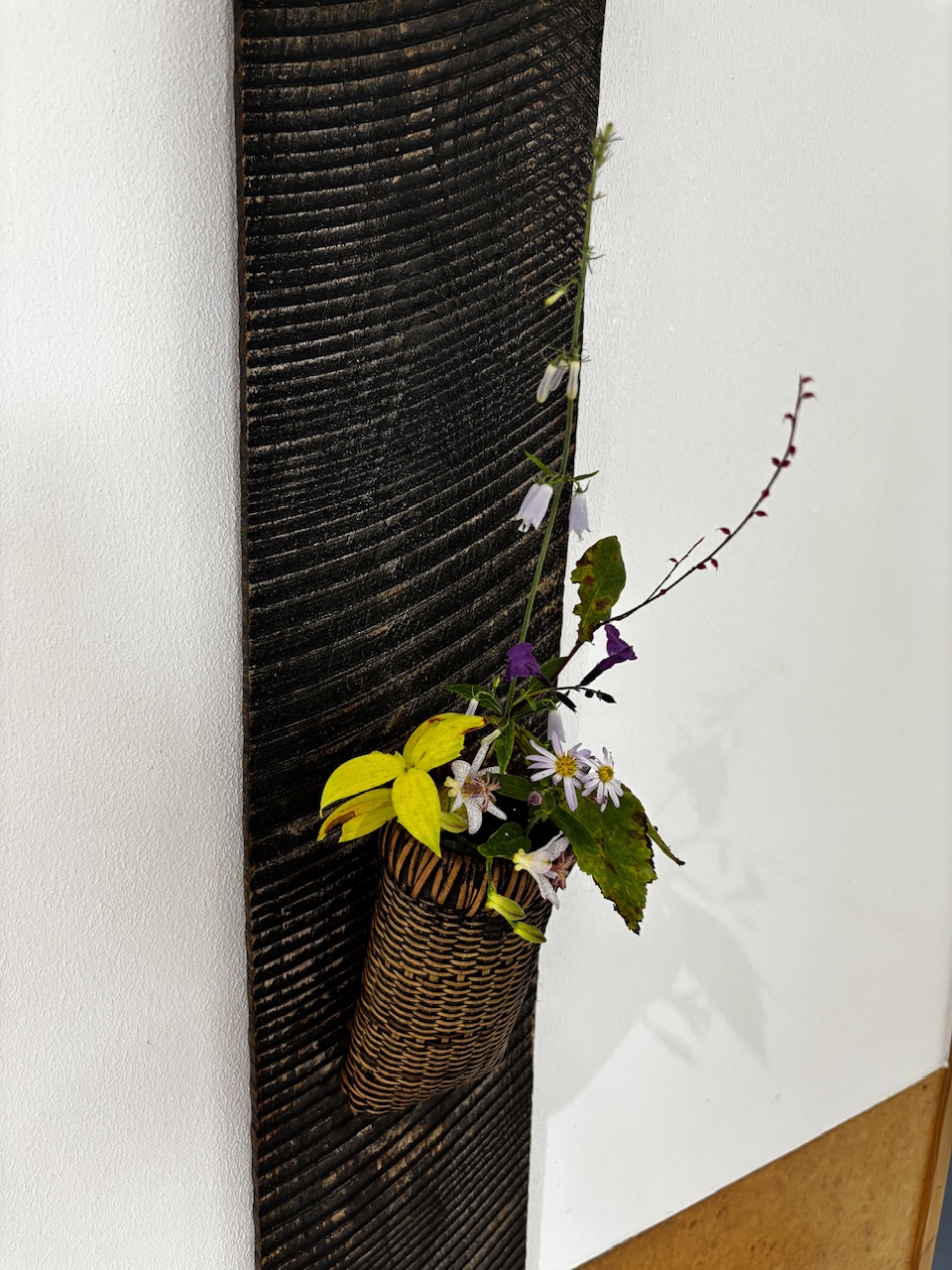 本日のクリニックの花々