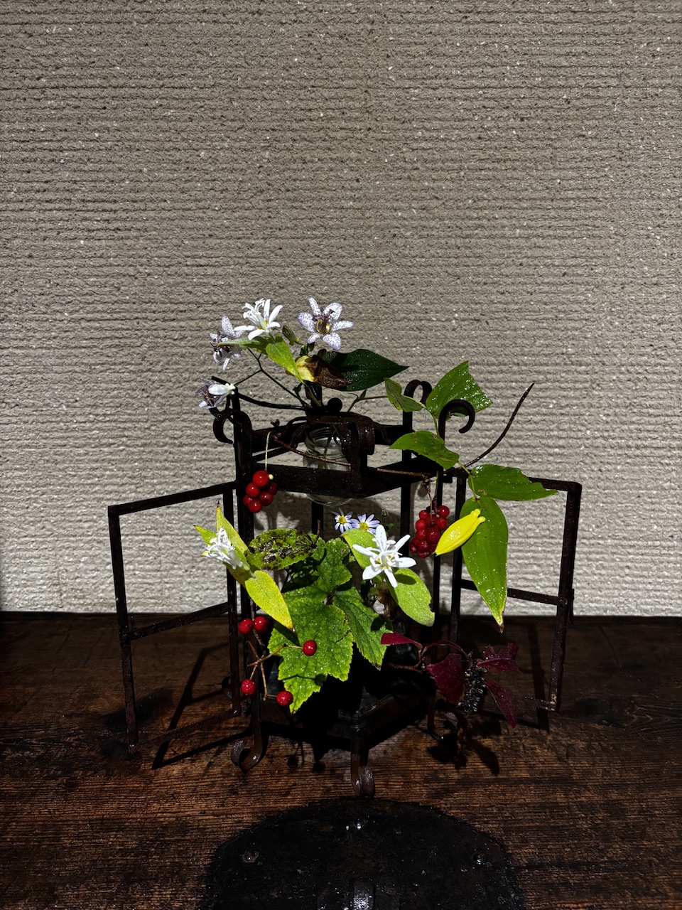 本日のクリニックの花々