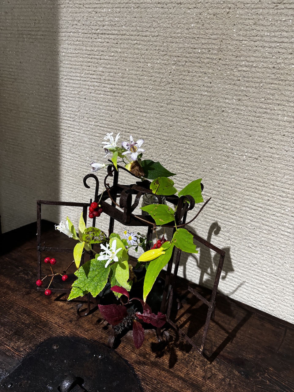 本日のクリニックの花々