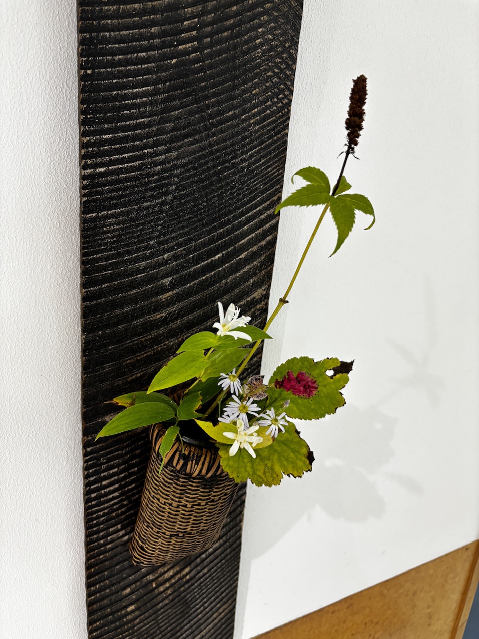 本日のクリニックの花々