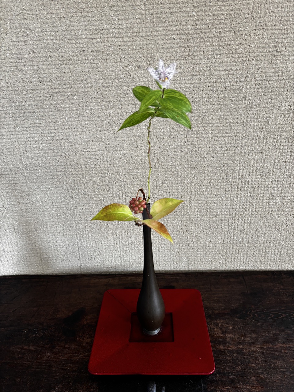本日のクリニックの花々