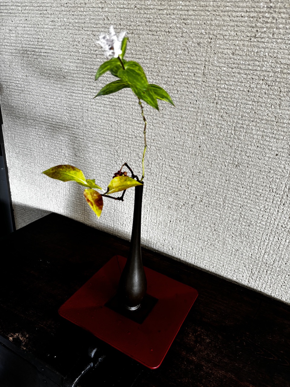 本日のクリニックの花々