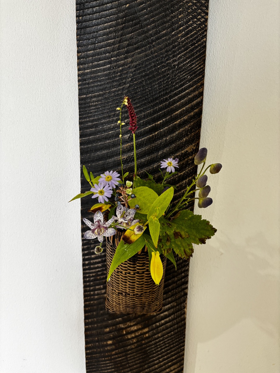 本日のクリニックの花々