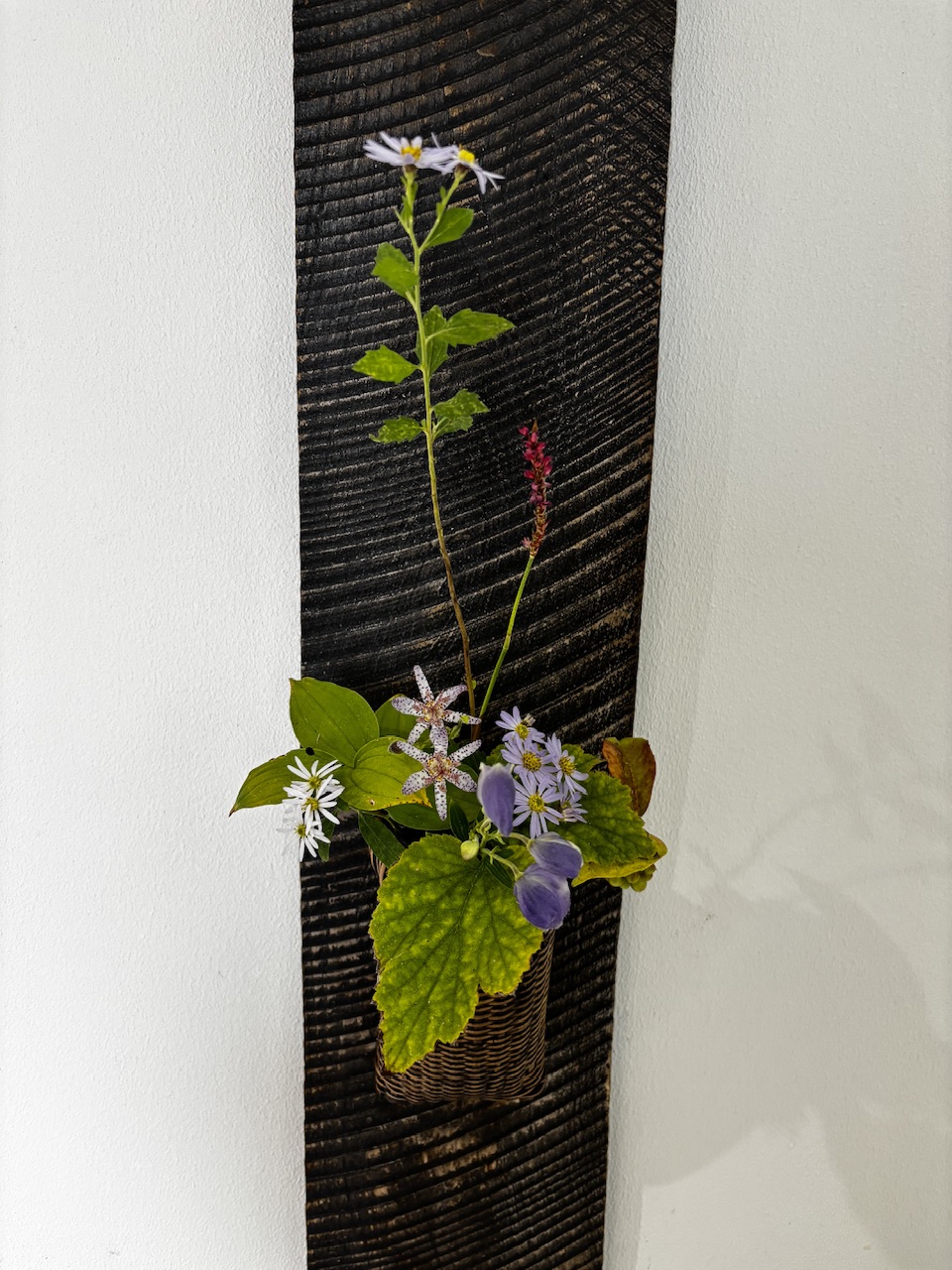 本日のクリニックの花々