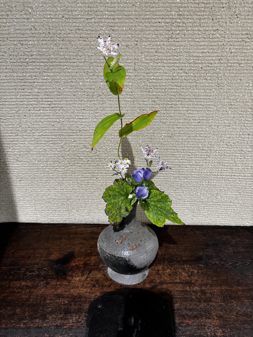 本日のクリニックの花々