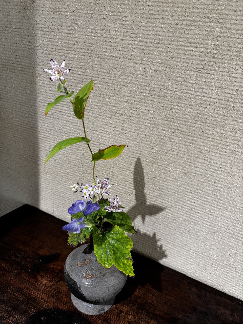 本日のクリニックの花々