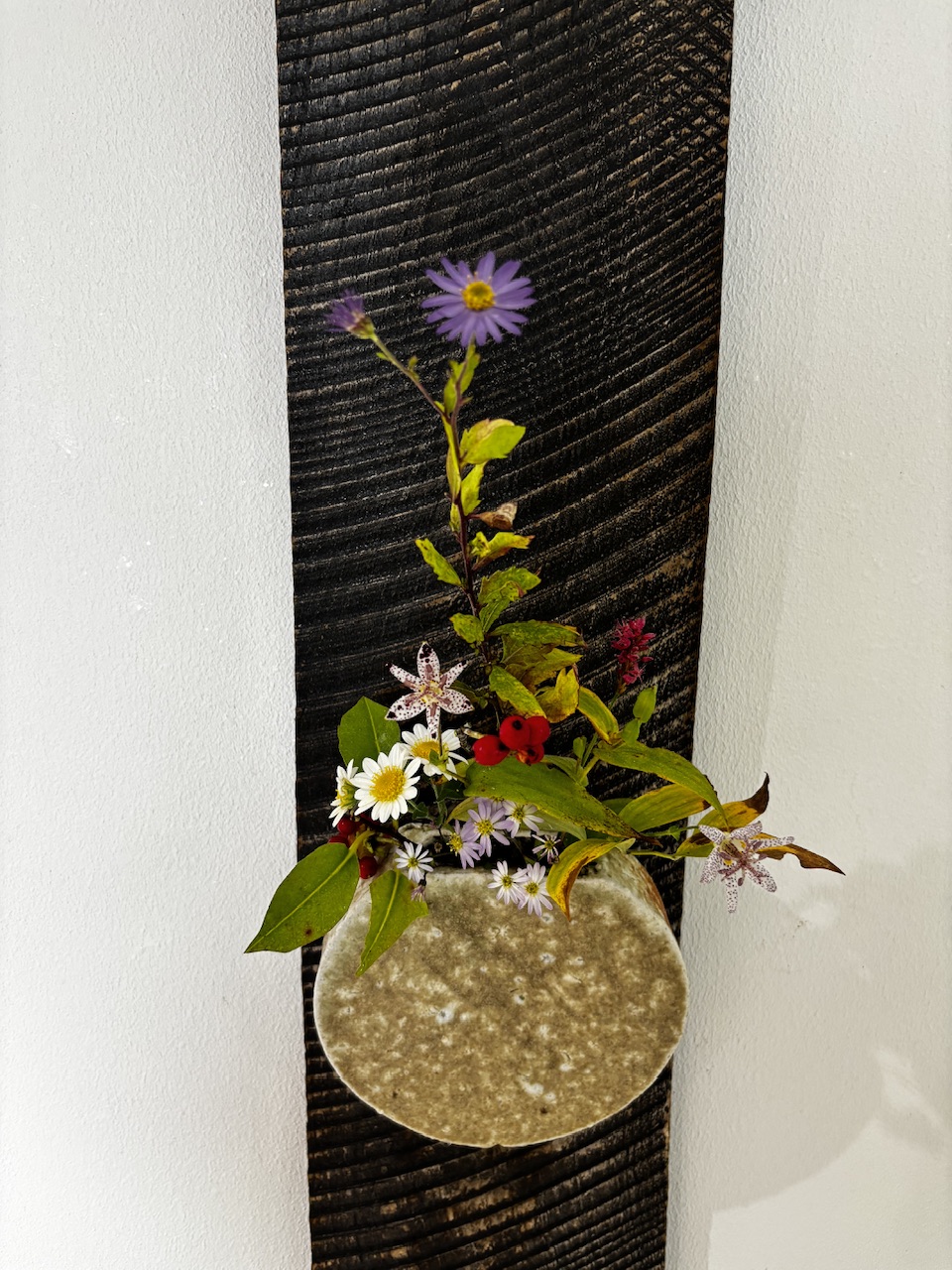 本日のクリニックの花々